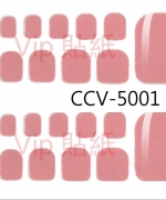 CCV-5001